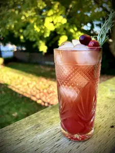 Apple Cranberry Highball - photo 1