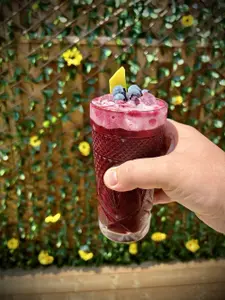 Blueberry Citrus Gin Fizz - photo 1