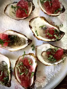 Sour Ale Granita - photo 1