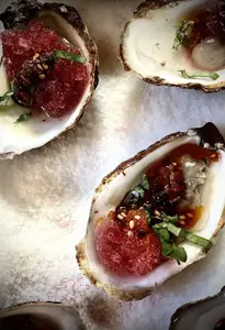 Sour Ale Granita - photo 3