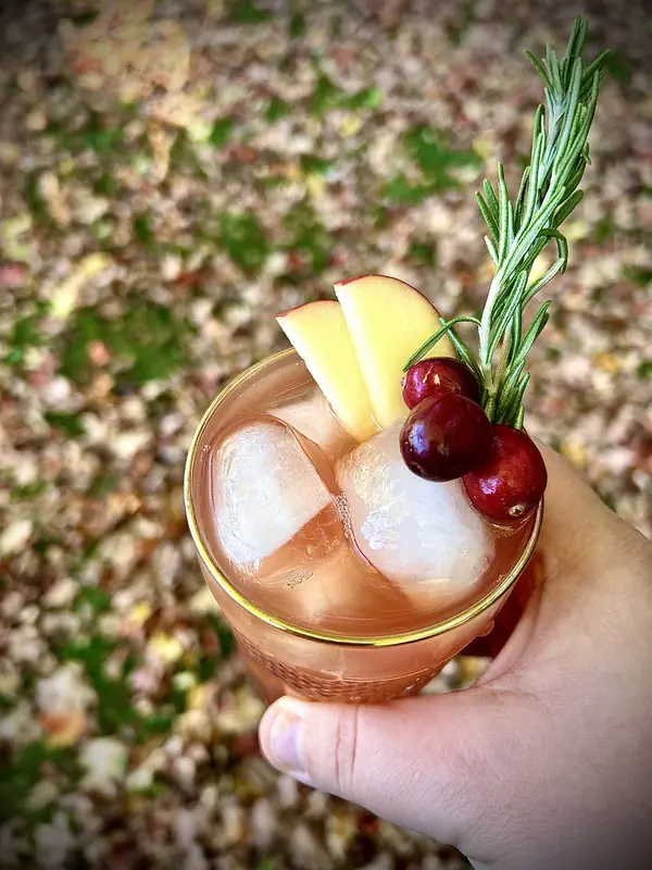 Apple Cranberry Highball