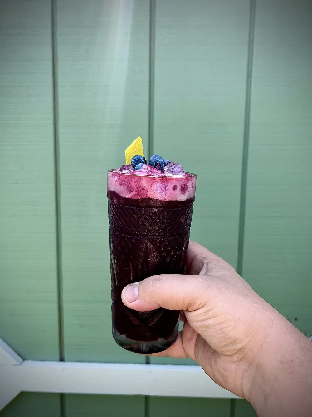 Blueberry Citrus Gin Fizz